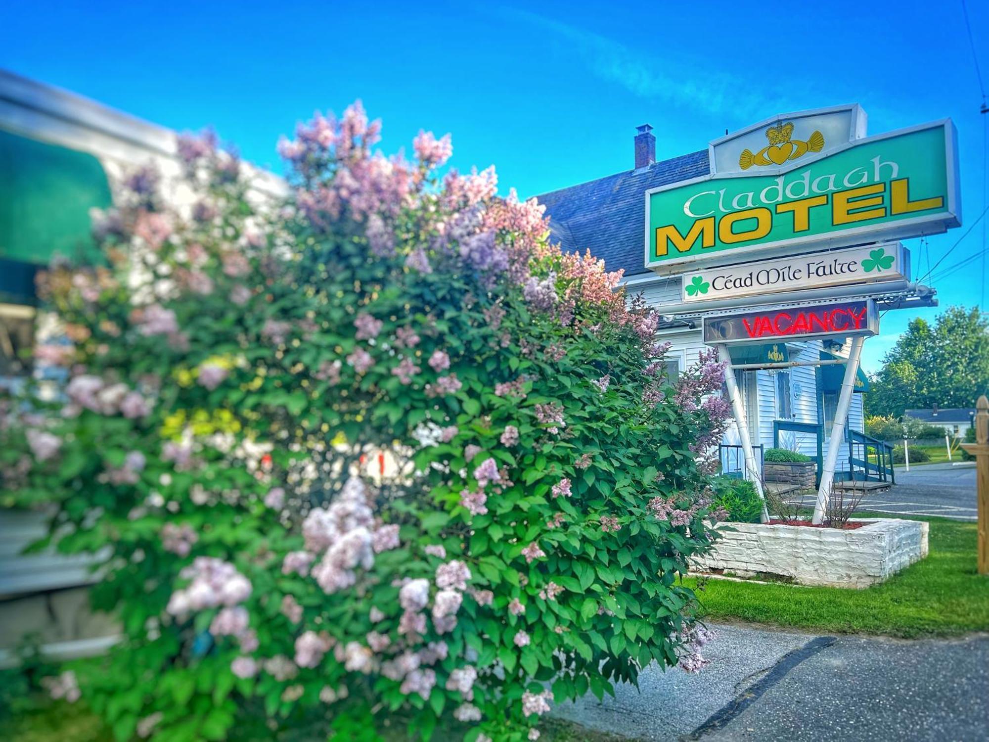 Claddagh Motel & Suites 락포트 외부 사진